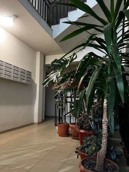 Kaufland Berceni, Drumul Binelui, apartament 2 camere.